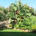 Villa La Dolce By Interhome Buoncammino
